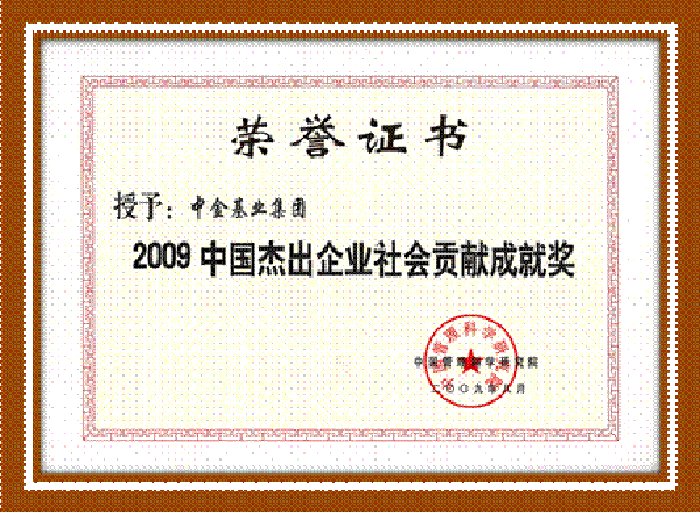 集团荣获2009中国杰出企业社会贡献成就奖